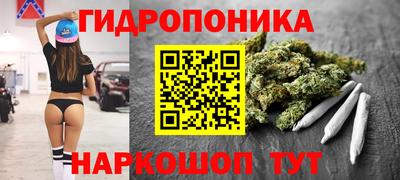спиды Сланцы
