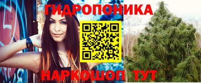спиды Сланцы
