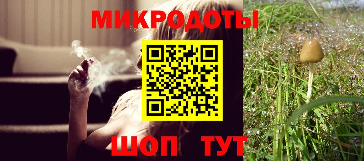 Галлюциногенные грибы Psilocybe  Вход с VPN  купить наркотик  Ростов-на-Дону 