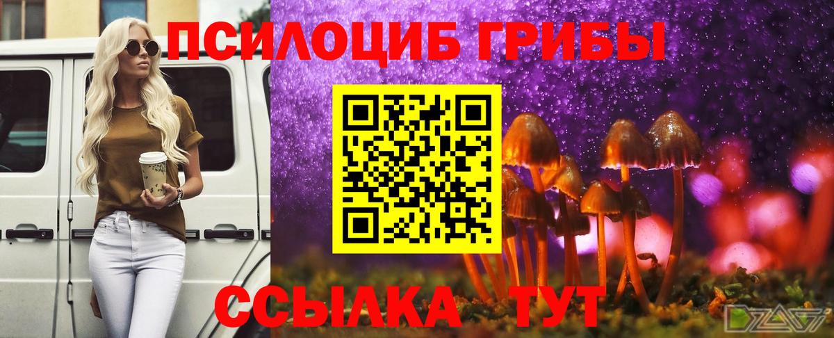 Псилоцибиновые грибы GOLDEN TEACHER Ростов-на-Дону