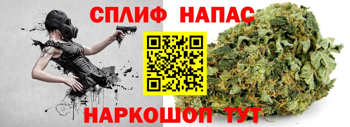Каннабис сатива Ростов-на-Дону